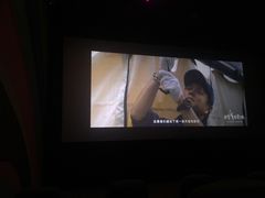 -天幕新彩云国际影城(激光巨幕店)