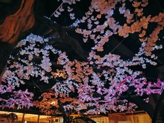 -蓝鲸湾汤泉(包河店)