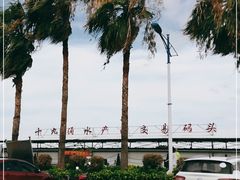 -南沙十九涌渔人码头-南门