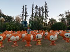 -上海长兴岛郊野公园