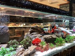 -红辣椒·川菜·火锅(大洋中心店)