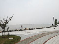 -春花秋色城市公园