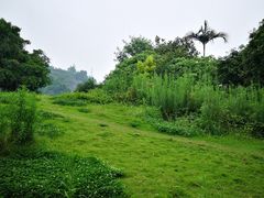 -张坝桂圆林公园