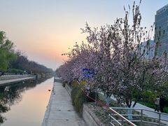 -海棠花溪(元大都城垣遗址公园)