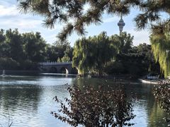 -钓鱼台国宾馆