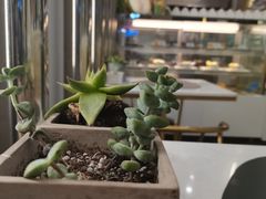 -猫王榴莲世家(三里屯SOHO商场店)