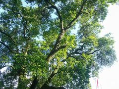 -飞霞风景名胜区