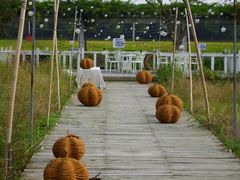 -嘉北郊野公园