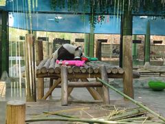 -栾川竹海野生动物园