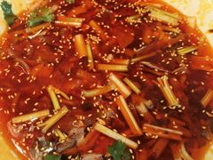 -陈麻婆豆腐(春熙店)