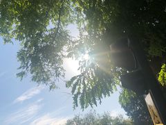 -大雁塔北广场音乐喷泉