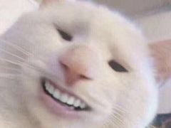 -木槿花开烤肉店(盐河南路店)