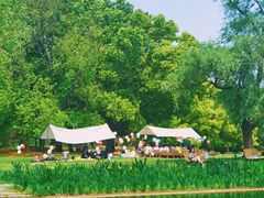 -上海共青森林公园