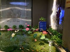 -合和大唐(福永店)