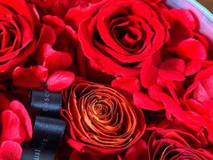 -ROSEONLY诺誓(国际广场购物中心店)