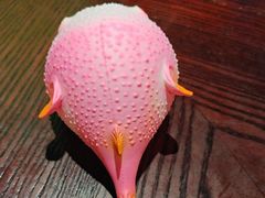 -永安鱼庄·镇江菜(东吴路店)