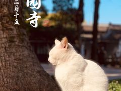 -西园寺