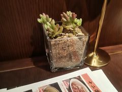 -小隐人家(乐松店)