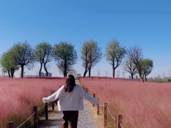 -汉长安城未央宫国家考古遗址公园