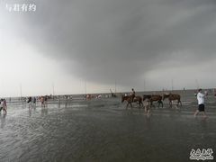 -碧海金沙