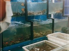 水产区-老东镇啤酒屋海鲜加工·蒸汽海鲜·海鲜烧烤(台东店)