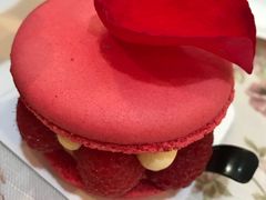 覆盆子玫瑰馬卡龍-卷心卷意·轻甜蛋糕(新光天地店)