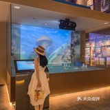 东莞游｜室内清凉遛娃、约会[加油]认识水乡文化