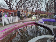 -枫花园汽车电影院(朝阳公园店)