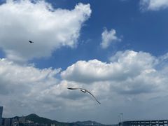-黑石礁公园