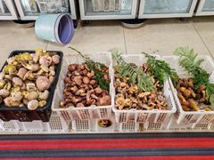 -双喜农庄·菌香园(安居家园店)