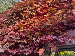 -天津盘山风景名胜区