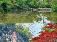 -黔灵山公园