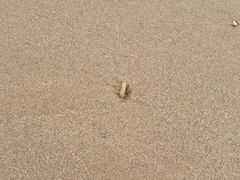 -西秀海滩公园
