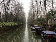 -合肥滨湖国家森林公园