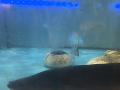 -同庆楼(滨湖万达广场店)