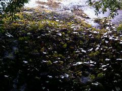 崖-腾冲云峰山