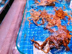 -阿里元海鲜·闽南特色菜(曾厝垵店)