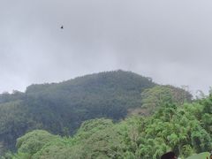 -优游吧斯邹族文化部落