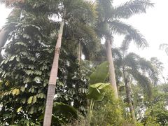 -广州锦绣香江度假别墅