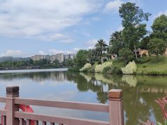 -枫香湖儿童公园