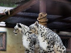 -青藏高原野生动物园
