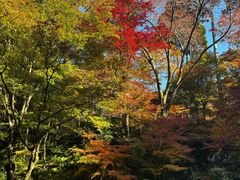 -三千院