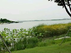 -金鸡湖桃花岛