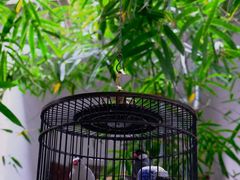 -31号公馆(黄兴广场白果园店)