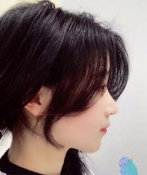 -IP SALON