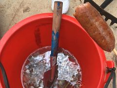 -红树林天天赶海