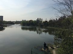 -新江湾城公园