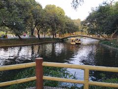 -晓港公园