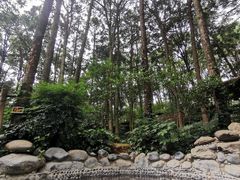 -金方森林温泉