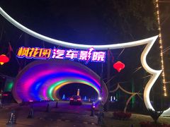 -枫花园汽车电影院(朝阳公园店)